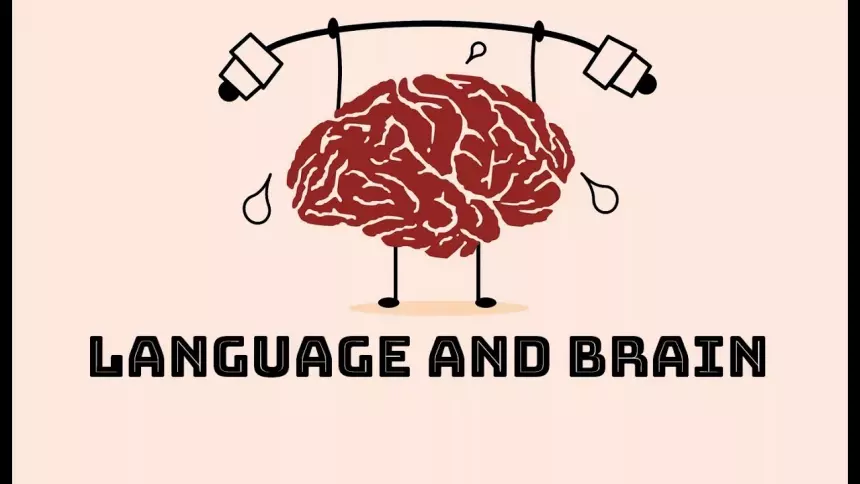 Иностранный язык без скуки: как учиться в 2025 году