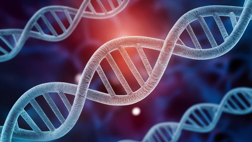 В Сколтехе открыли первую в России лабораторию ДНК-оригами