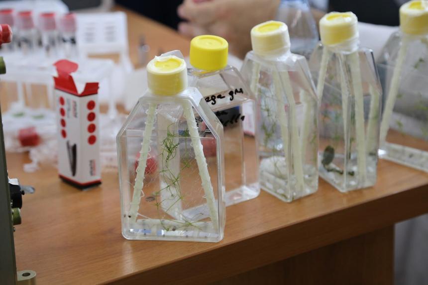 Учёные РФ проведут в космосе эксперименты с мухами, грибами и семенами