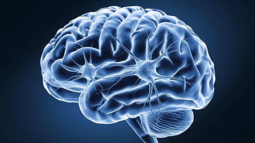 В России предложили способ выявления моторных нарушений с помощью 3D-фигур