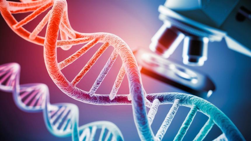 У клеток человека нашли функцию «самоуничтожения» при борьбе с вирусами