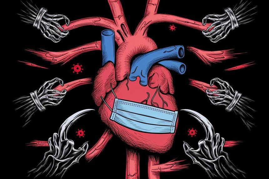 В СГУ создали гибкую углеродную пленку для «протезирования» органов