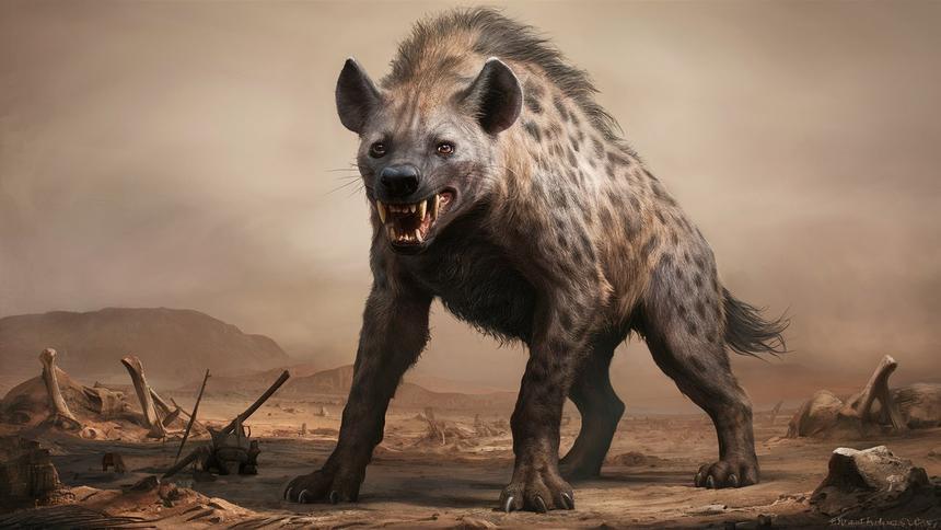 Оказалось, на Кавказе 10 млн лет назад обитали «ужасные» гиены весом до 400 кг
