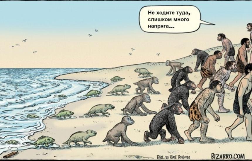 Мы все родом из космоса? Новое открытие учёных о зарождении жизни