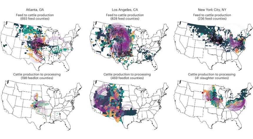 В США углеродный след мяса оказался больше, чем в Британии и Италии вместе взятых