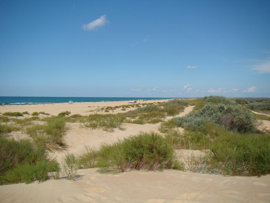 ЮФУ зафиксировал один из самых низких уровней загрязнения мазутом в Чёрном море за 18 лет