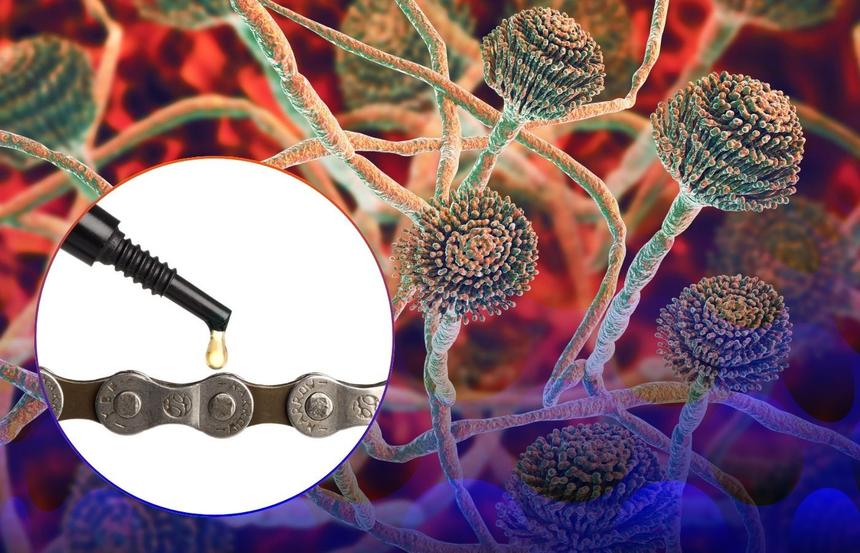 Использование плесневого гриба в машинной смазке улучшило её свойства