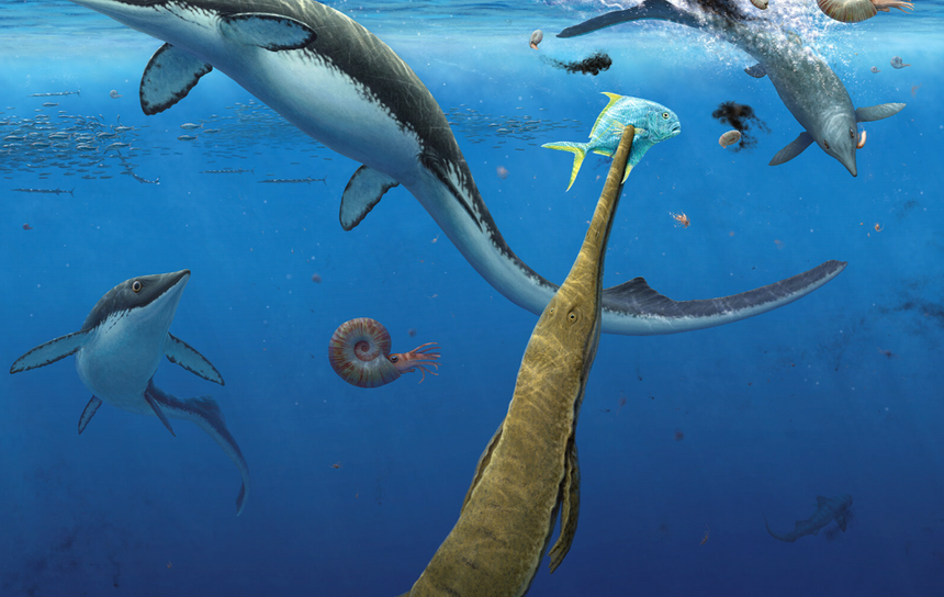 В Арктике нашли древнейшее морское сообщество эпохи динозавров