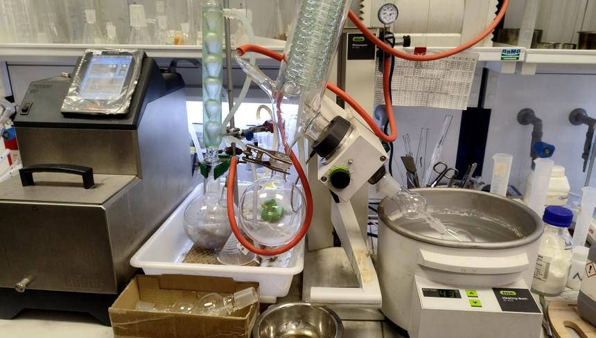 Российские ученые синтезировали новые морские соединения против бактерий и рака