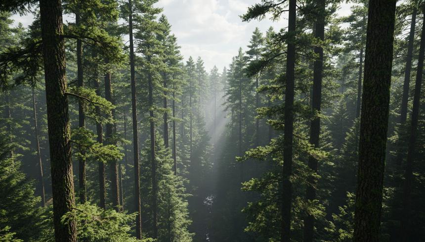 Климат, деньги и судьба планеты: зачем мир снова собрался в Бразилии