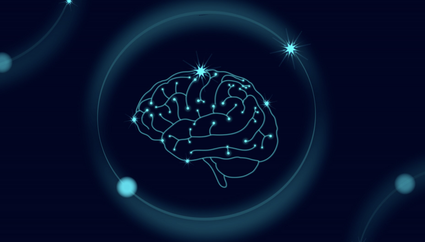 Учёные ТГУ создадут «атлас» мозга