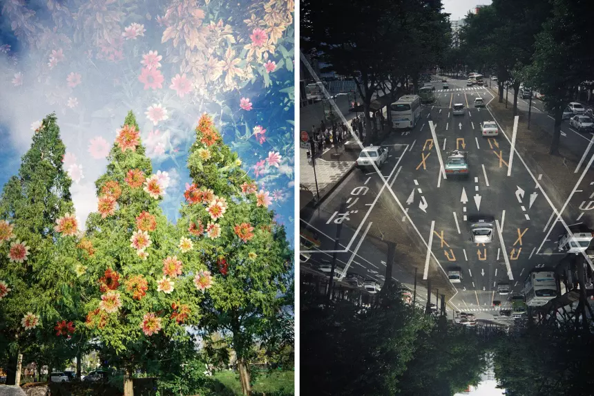 Примеры двойной экспозиции