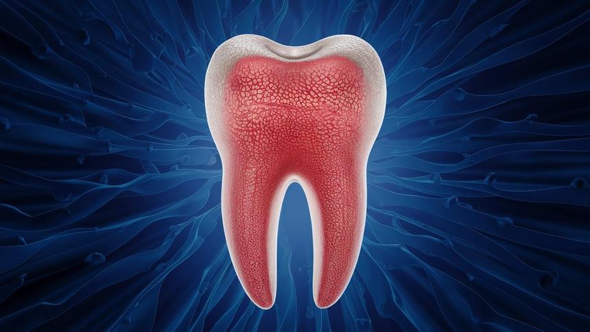 Испытания оптического зонда для диагностики кариеса начались в России