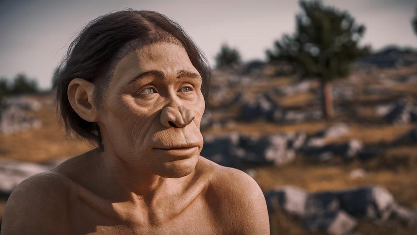 Учёные опровергли миф о палеодиете: древние люди ели не так много мяса