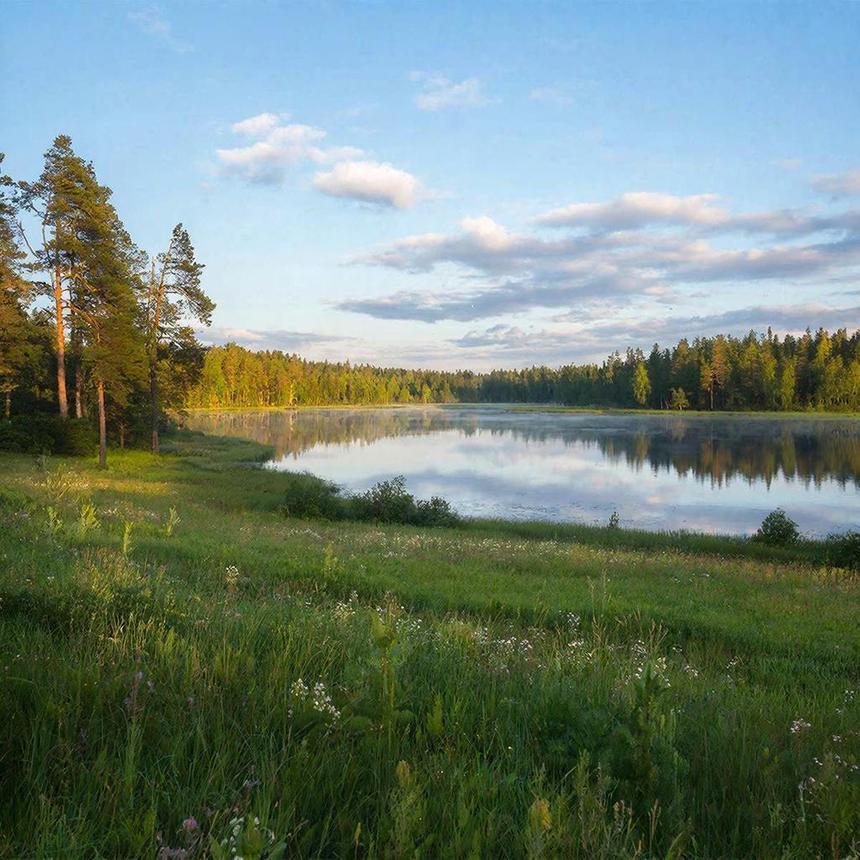 Учёные наконец поняли, почему нам так нравятся красивые вещи