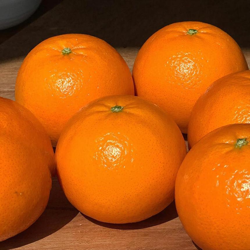 Учёные обнаружили, что витамин С защищает от заболеваний лёгких