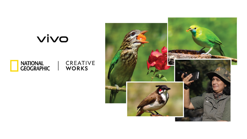 Фотографам National Geographic выдали смартфоны Vivo X300 и X300 Pro