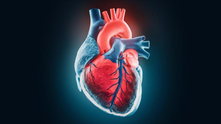 Томские учёные создали ПО с ИИ для помощи в операциях на сердце