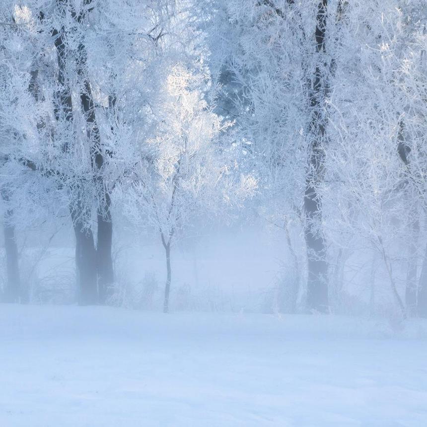 Эксперт объяснил, почему в мороз хрустит снег