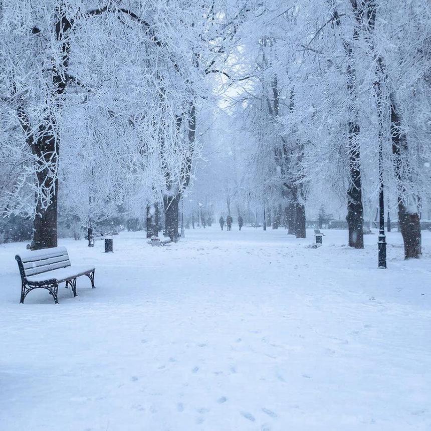Эксперт объяснил, почему в мороз хрустит снег
