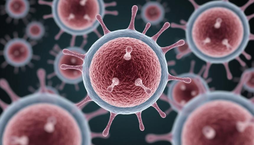 В России повысили эффективность доставки лекарств в опухоли до 85%