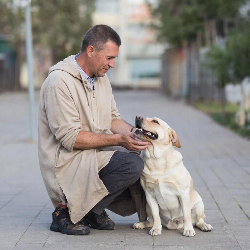 Учёные обнаружили, что способность человека понимать эмоции собак зависит от его настроения