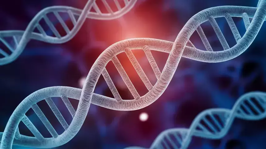 В России разработают ДНК-метод ранней диагностики аллергии на пыльцу