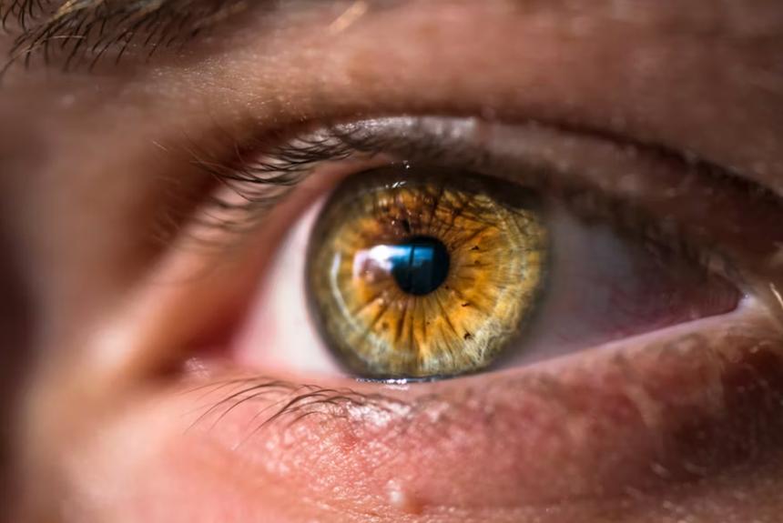 В Новосибирске провели первое в РФ исследование по генетической диагностике глаукомы