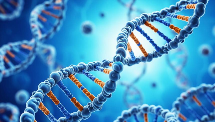 Российские ученые раскрыли механизм «выключения» генов