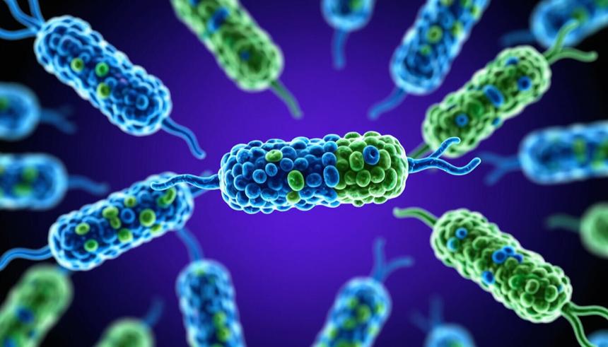 В Башкирии разработали тест-систему для определения «бактерии стройности»