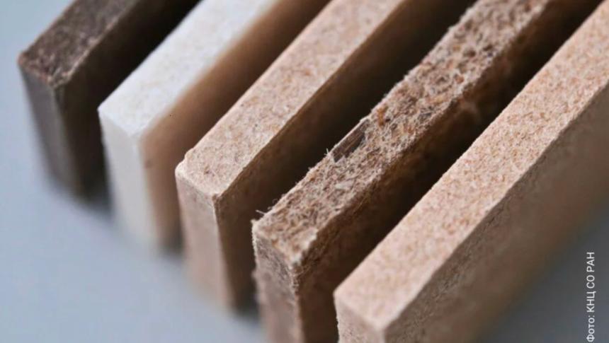 Красноярские учёные создали биоразлагаемый материал из кильки и конопляных волокон