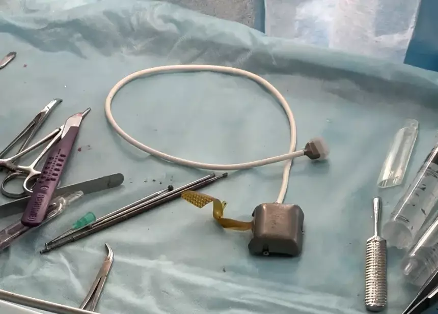 Прототип ELVIS V