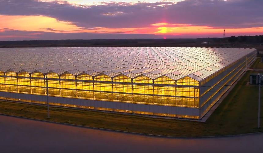 Умные теплицы: высокие технологии для качества, безопасности и вкуса овощей