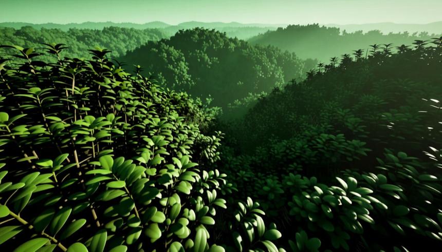 В России создали алгоритм оценки растительности по спутникам