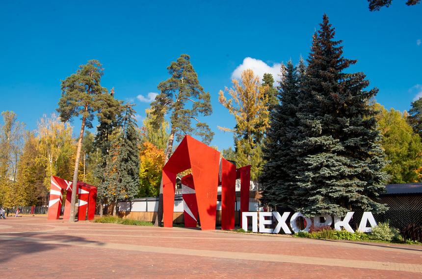 В Балашихе запустят цикл лекций о нейросетях в парке «Пехорка»