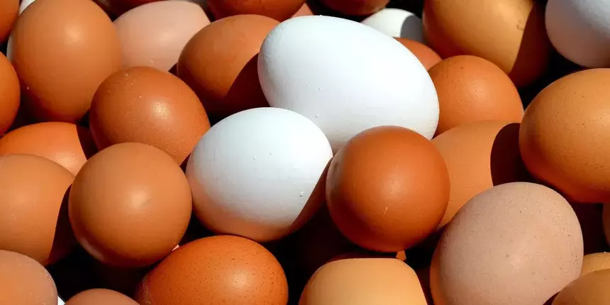 Что будет с организмом, если вы станете есть по два варёных яйца в день